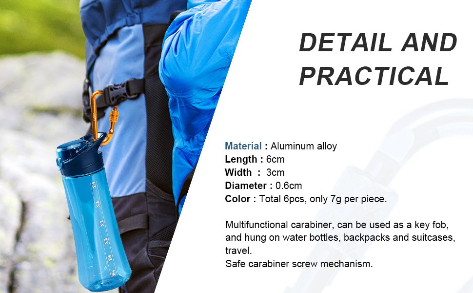 keychain carabiners