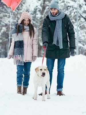 Couple with dog casually walking in the snow