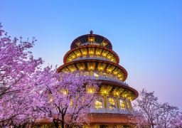图片描述