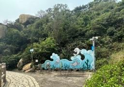 图片描述