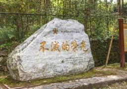 图片描述