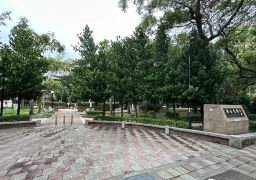 图片描述