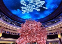 图片描述
