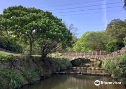 图片描述