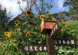 图片描述