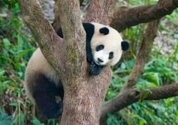图片描述