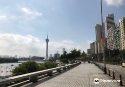 图片描述