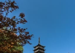 图片描述