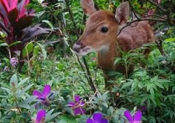 图片描述