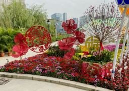 图片描述