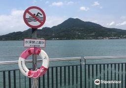 图片描述