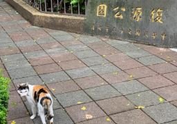 图片描述
