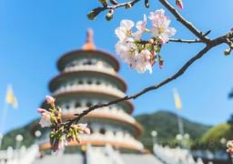 图片描述