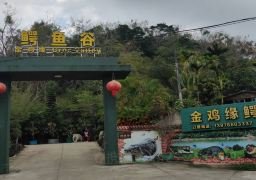 图片描述