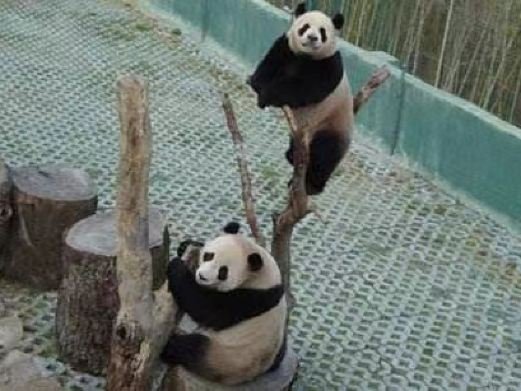 图片描述
