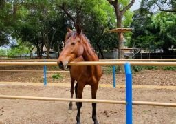 图片描述