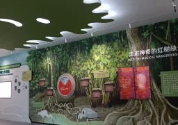 图片描述