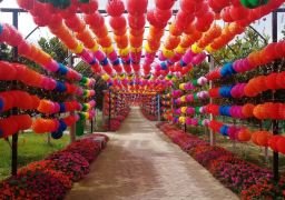 图片描述
