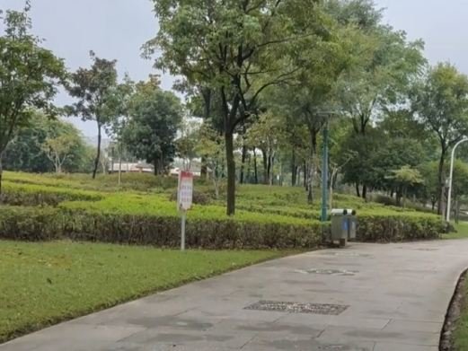 图片描述