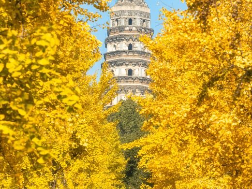 图片描述