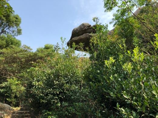 图片描述