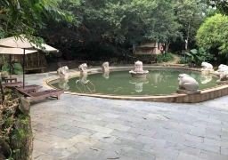 图片描述
