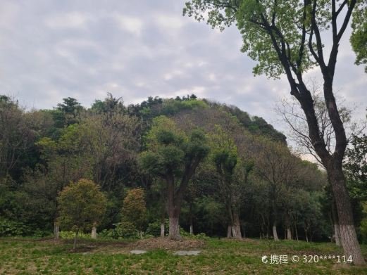 图片描述
