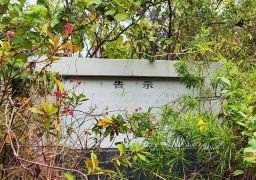 图片描述