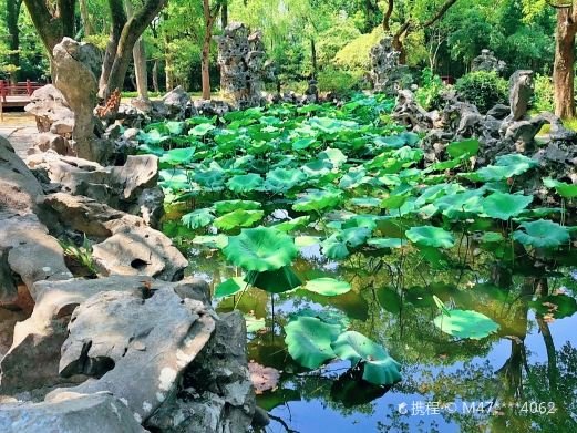 图片描述