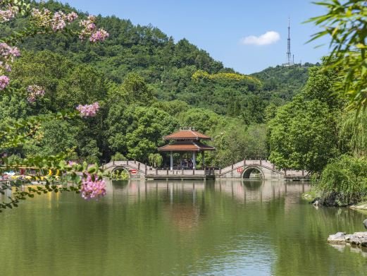图片描述