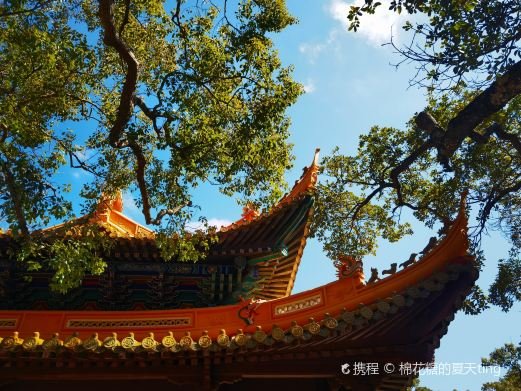 图片描述