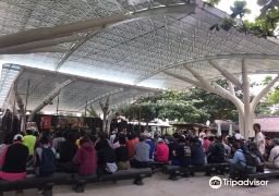 图片描述