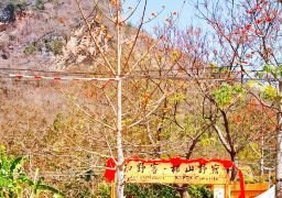 图片描述