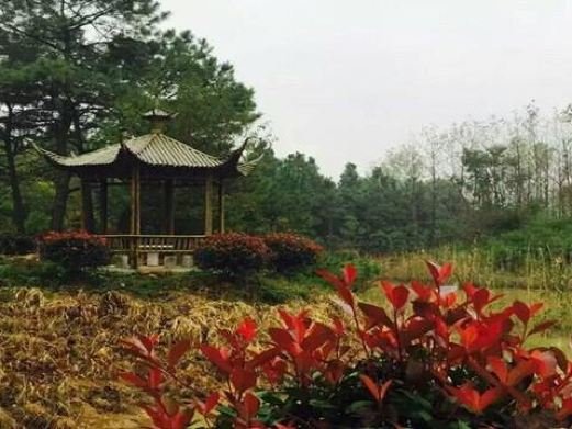 图片描述