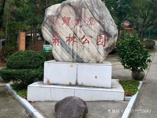 图片描述
