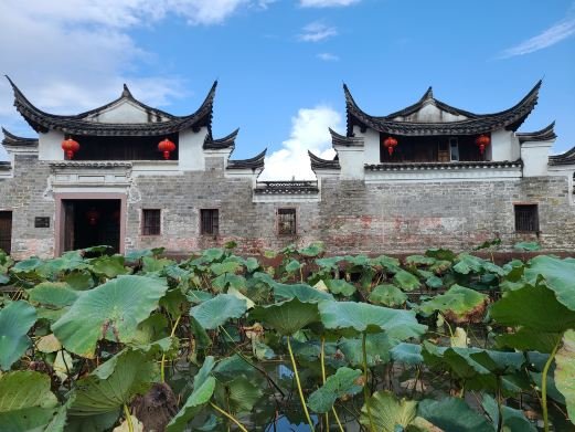 图片描述