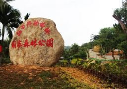 图片描述