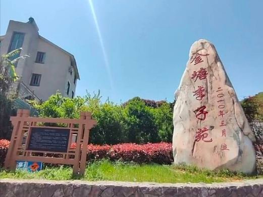 图片描述