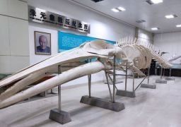 图片描述