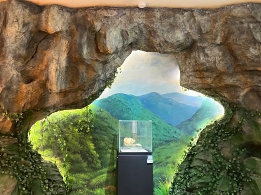 图片描述