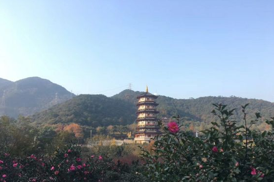 图片描述