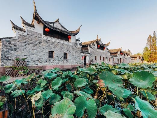 图片描述