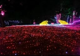 图片描述