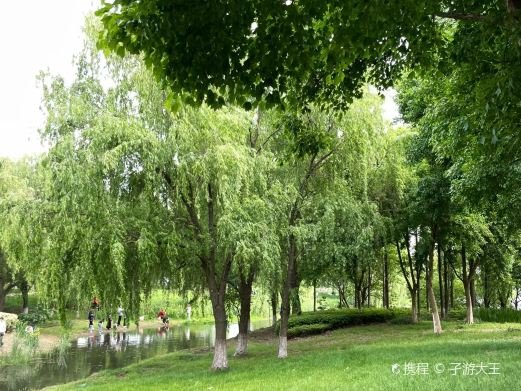 图片描述