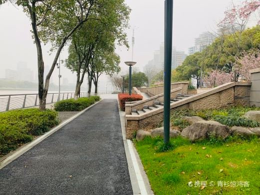 图片描述