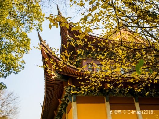 图片描述