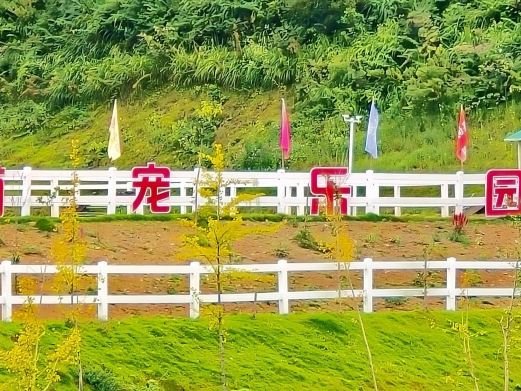 图片描述