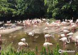 图片描述