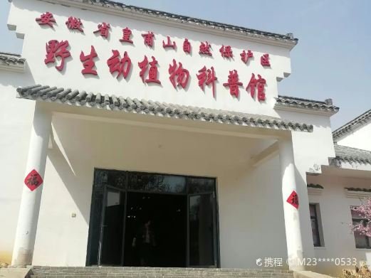 图片描述