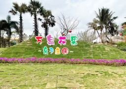 图片描述